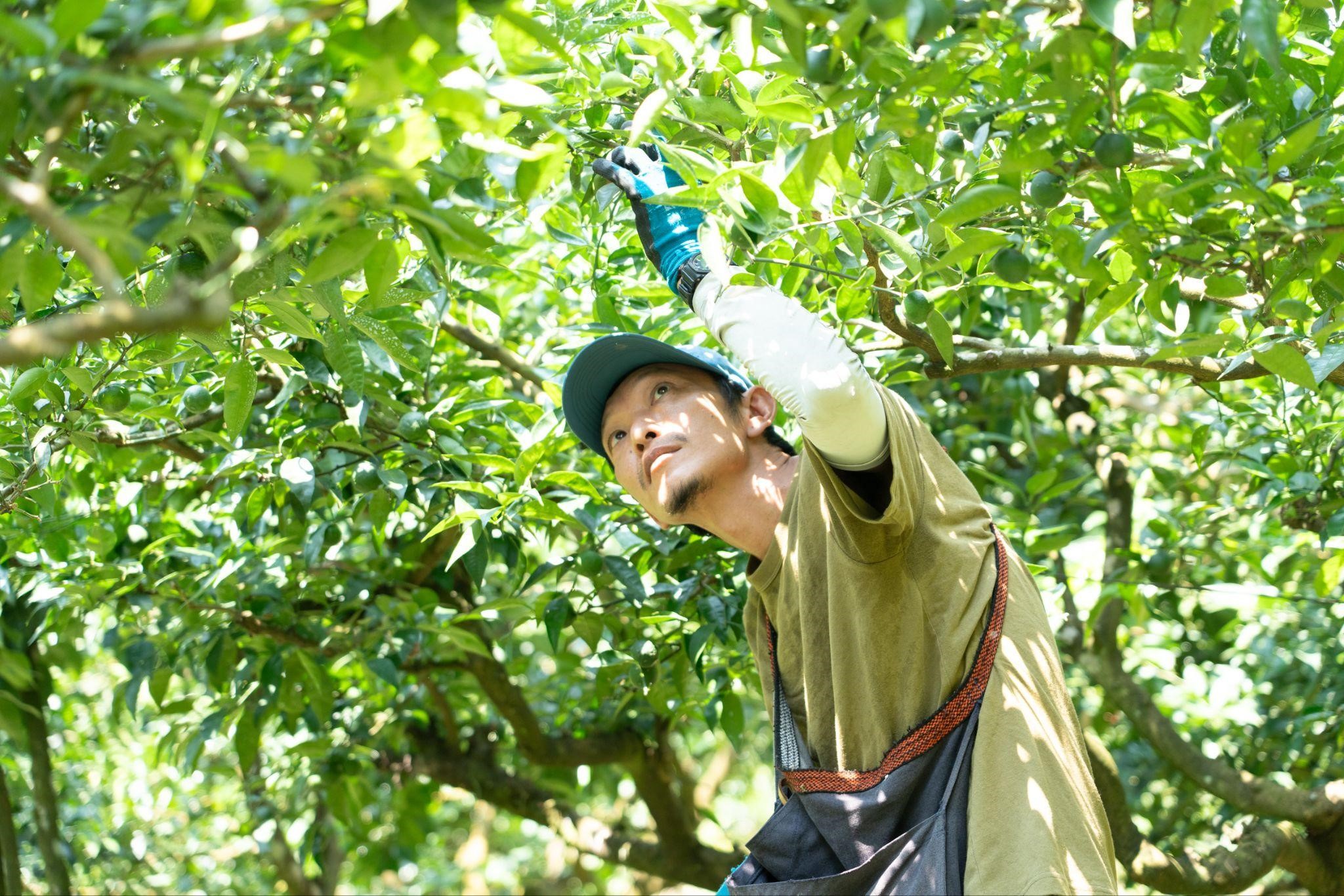 くにもとさん写真