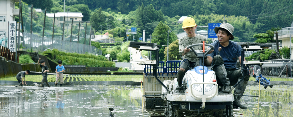 小学校　イメージ