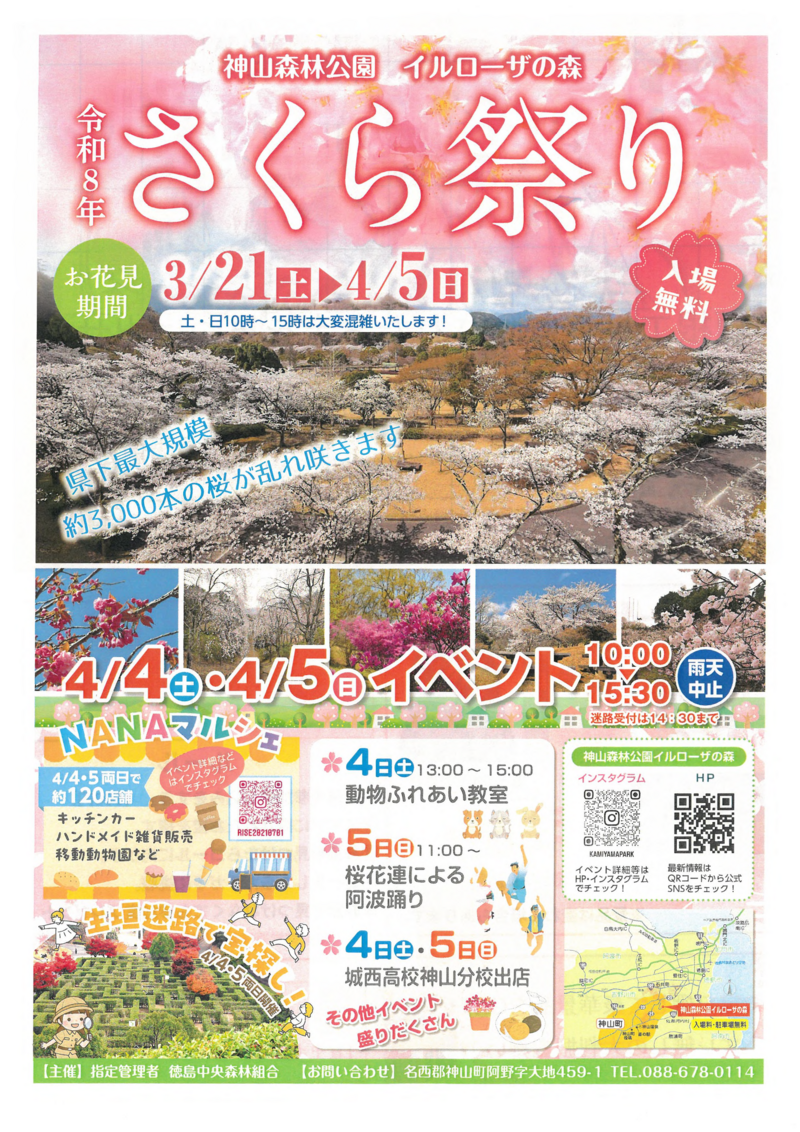 神山森林公園さくら祭り_表