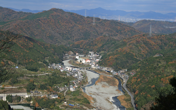 紅葉（広野）12月