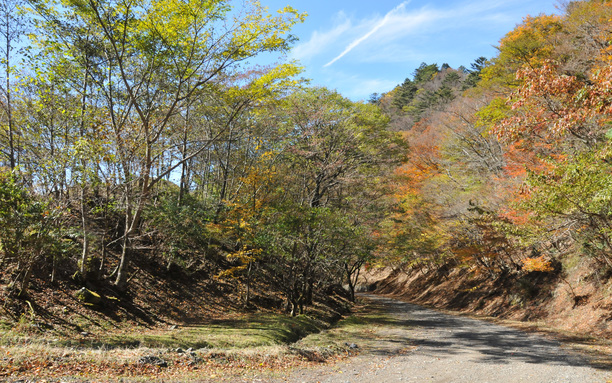 スーパー林道紅葉 10月