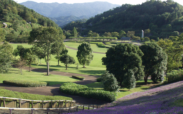 神山森林公園芝生 5月