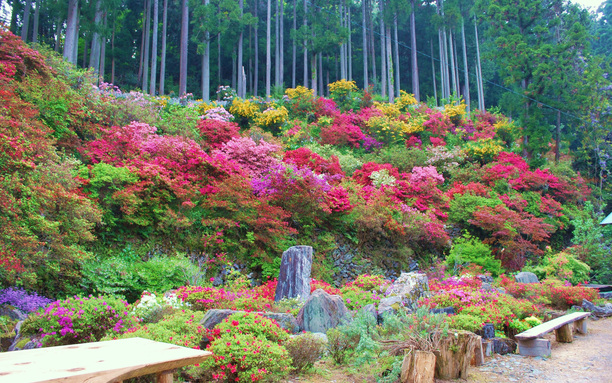 上分花の隠里 4月