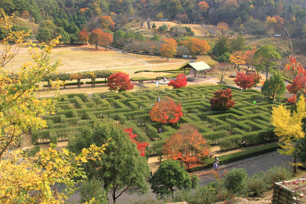 森林公園紅葉 10月