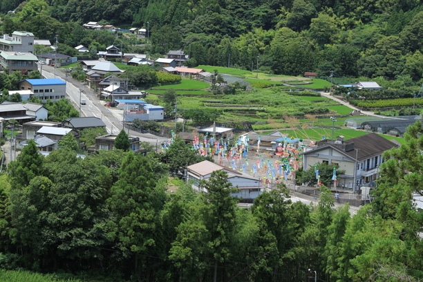下分七夕飾り 山からの眺め② 7月