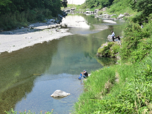 鮎釣り 6月