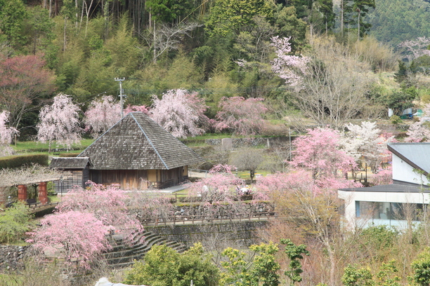 ふれあい公園 3月