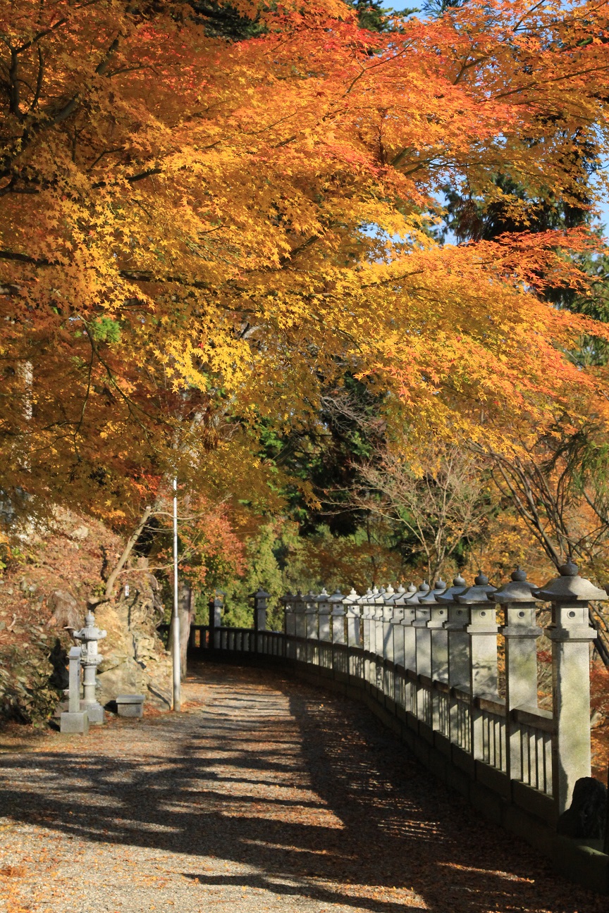 紅葉 各地区 年間カレンダー 神山町役場
