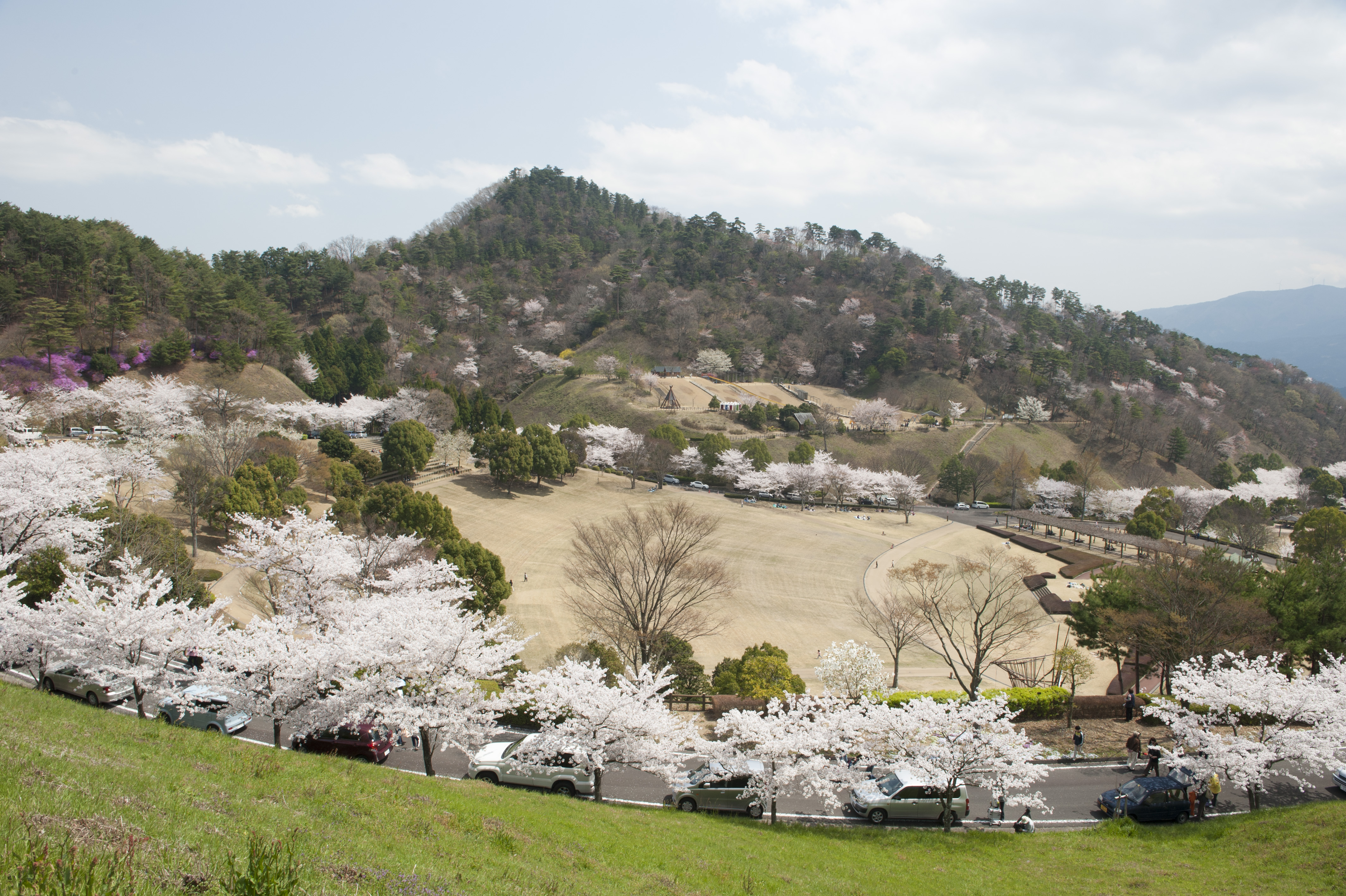 ２２年森林公園(全体俯瞰）.jpg