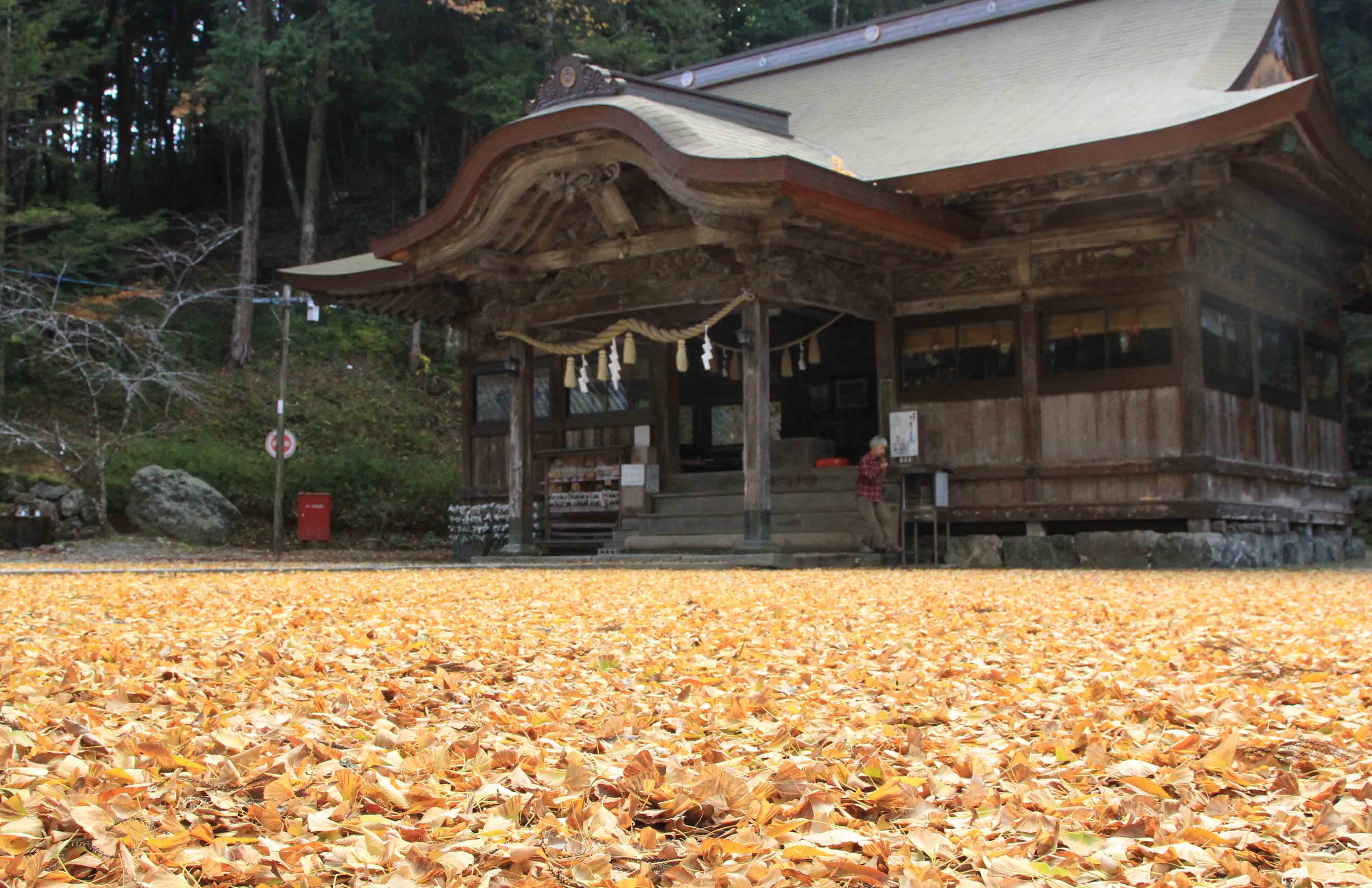 IMG上一宮大粟神社8984.jpg