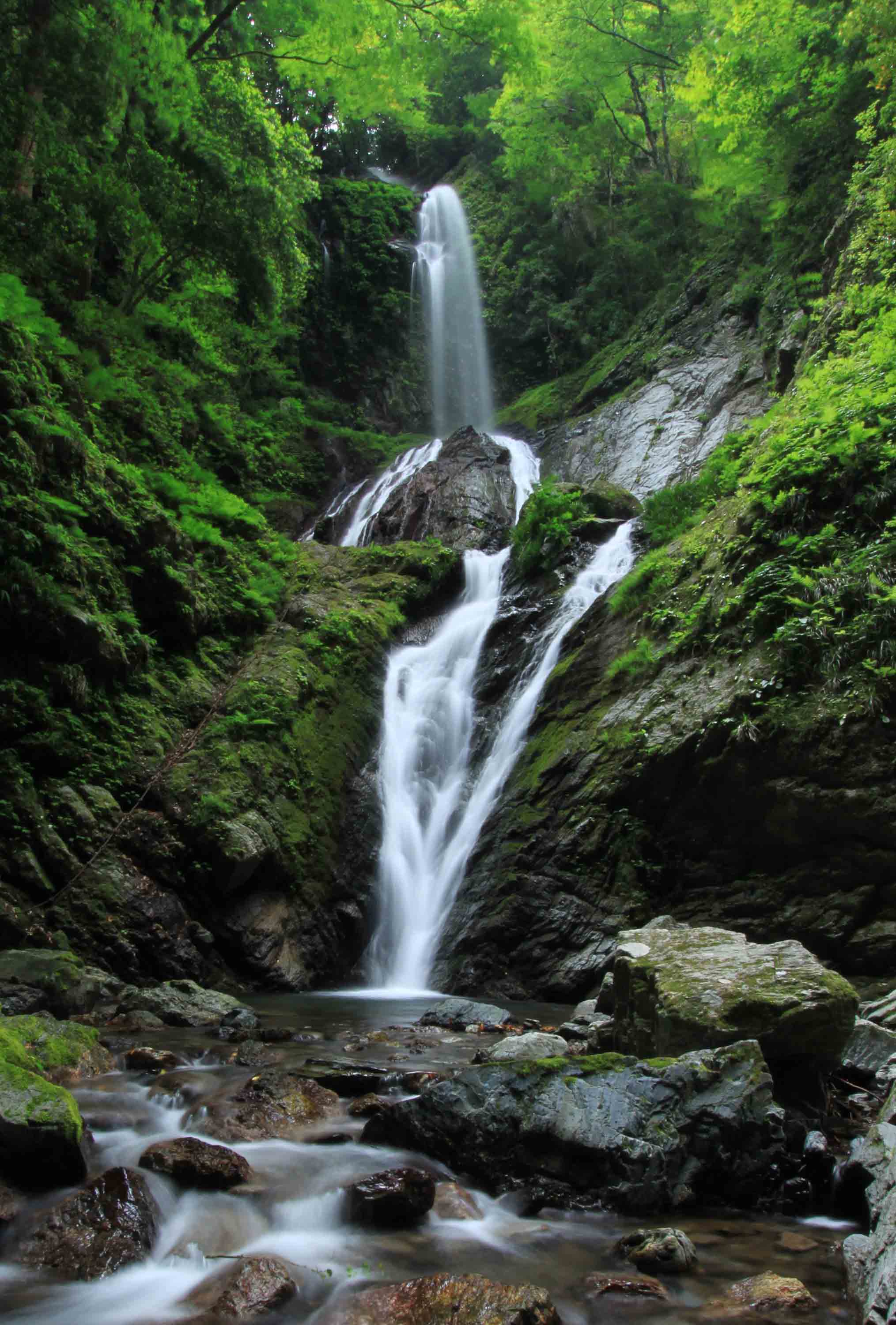 IMG雨乞の滝2176.jpg