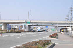 t01.jpg
