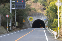 t01.jpg
