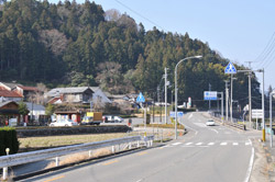 t11.jpg
