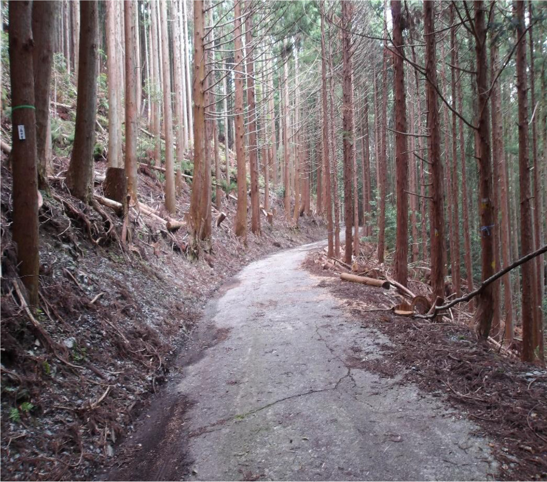 実施後