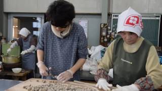 神山タイムズ（下分加工所、神山温泉、郷土資料館）平成28年5月