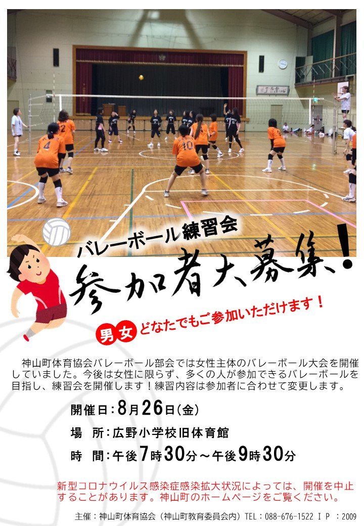 Volleyball0826.jpg