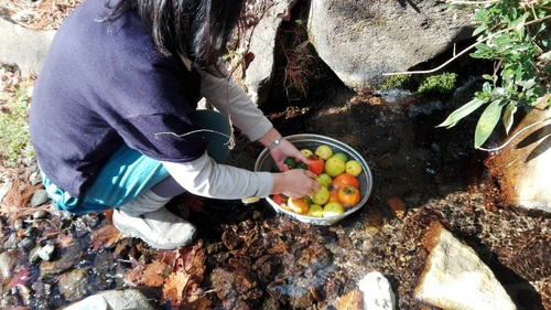 湧き水で洗う.jpg