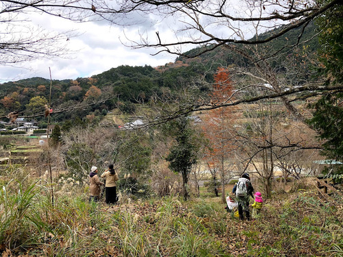 冬の大粟山.jpg